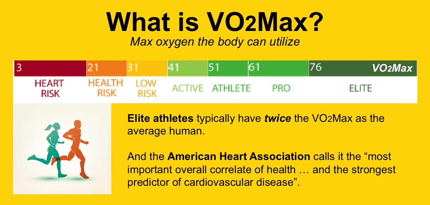 What Is Vo2max And Why Is It Important - Mobile Legends
